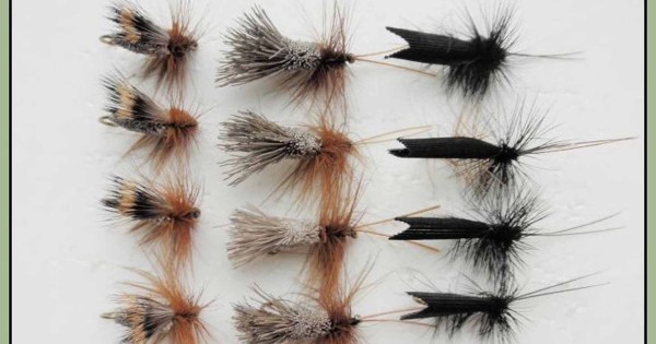 Sedge trout fishing flies, 18 pack - UK